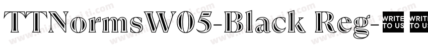 TTNormsW05-Black Reg字体转换